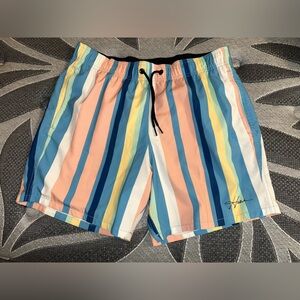 Hollister Men’s Stretch Swim Trunks